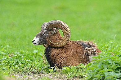 《Project L33T》7月Steam抢测 战术撤离新游